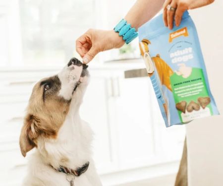 Best Vet-Recommended Dog Foods for All Ages: Complete Feeding Guide