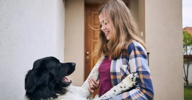 How to Prevent Your Dog From Jumping on People: Training Guide