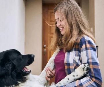 How to Prevent Your Dog From Jumping on People: Training Guide