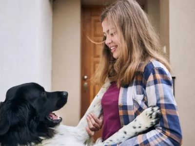 How to Prevent Your Dog From Jumping on People: Training Guide