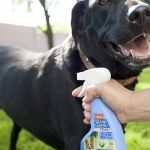 Best Dog Flea and Tick Sprays for Yard Protection Guide