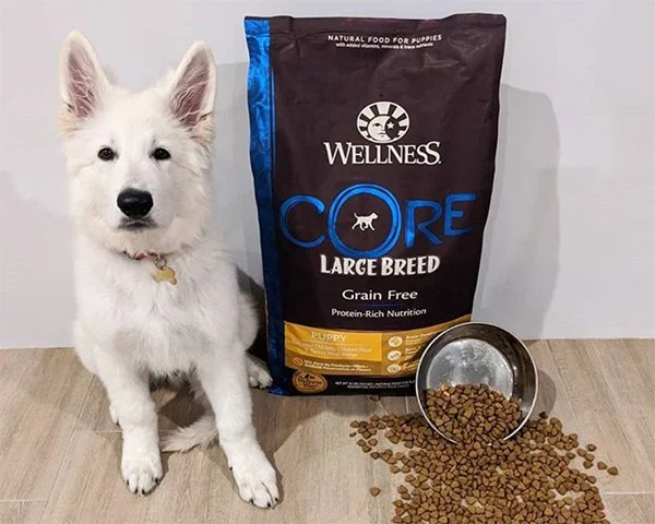 Best Dog Foods for Large Breed Puppies: Nutrition Guide for Healthy Growth