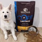 Best Dog Foods for Large Breed Puppies: Nutrition Guide for Healthy Growth