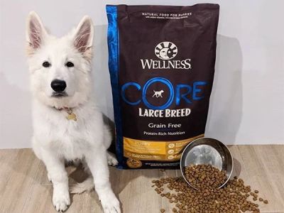 Best Dog Foods for Large Breed Puppies: Nutrition Guide for Healthy Growth