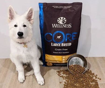 Best Dog Foods for Large Breed Puppies: Nutrition Guide for Healthy Growth