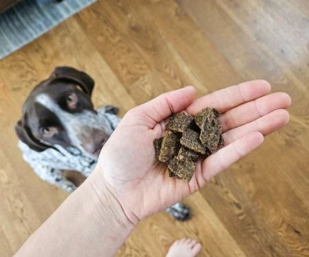 Best Training Treats for Large Dogs That Improve Obedience and Focus