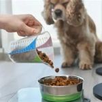 Best Dog Foods for Sensitive Skin and Coat Shine
