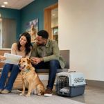 Emergency Veterinary Clinic Plan: Verify Before a Crisis