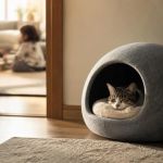 Pet Household Noise Plan: Create a Calmer Retreat